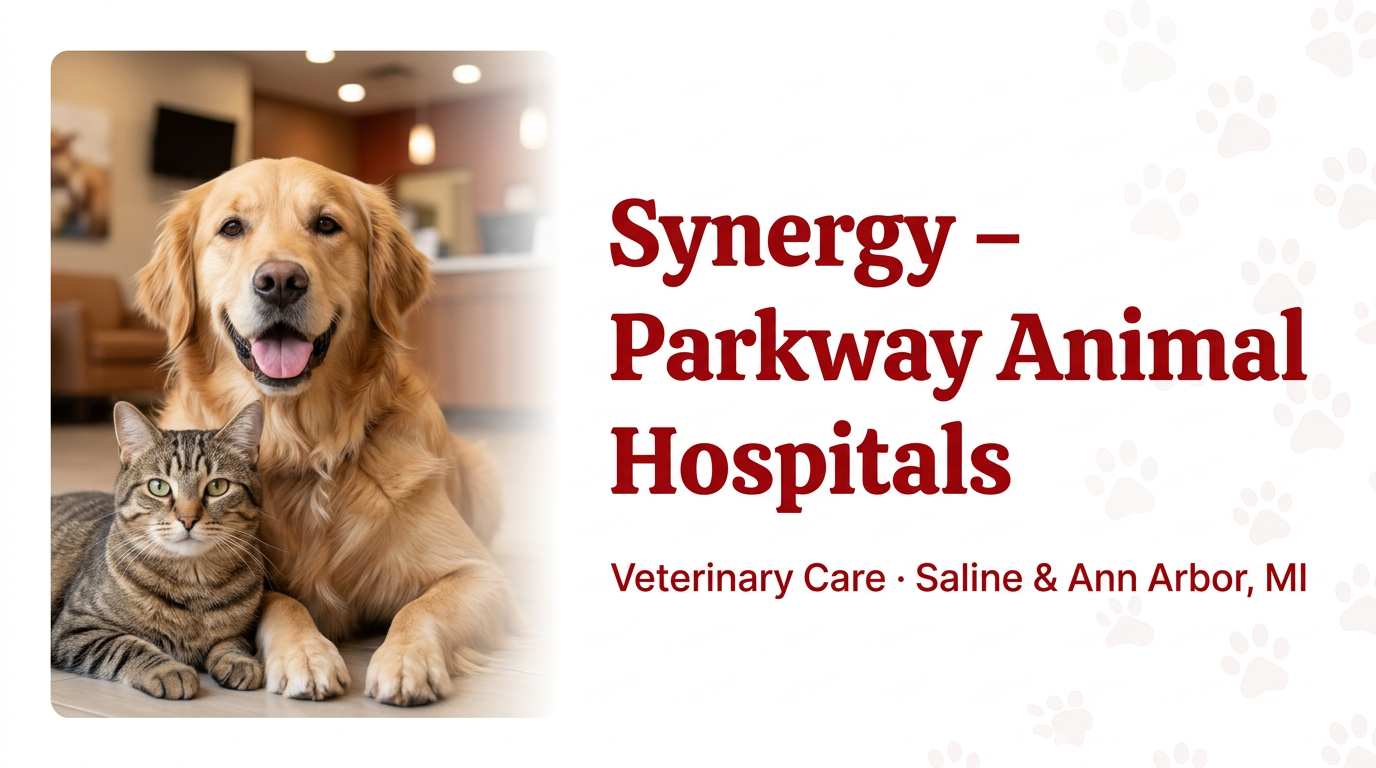 Contact Synergy Animal Hospital | Saline, MI Veterinarian
